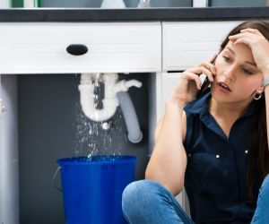 About Plumbers Pros La Loma, NM